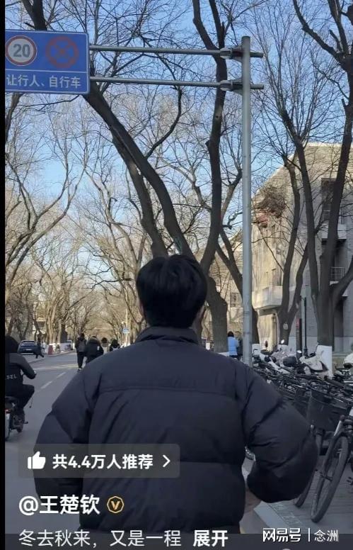 大满贯, 研究生生涯, img 大满贯, 研究生生涯, img